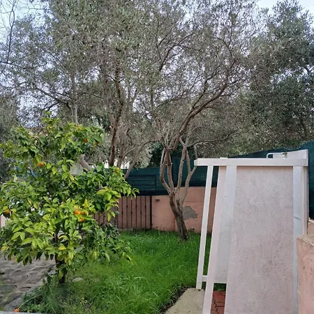 Il Dentice San Teodoro (Sardinia)